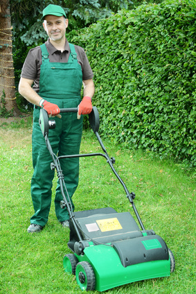 Grtner mit Vertikutierer auf Wiese